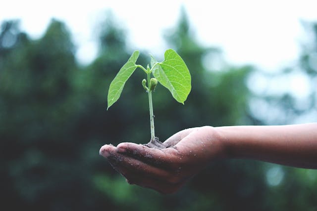 cursos de formación 5s en Barcelona, madrid, valencia, zaragoza