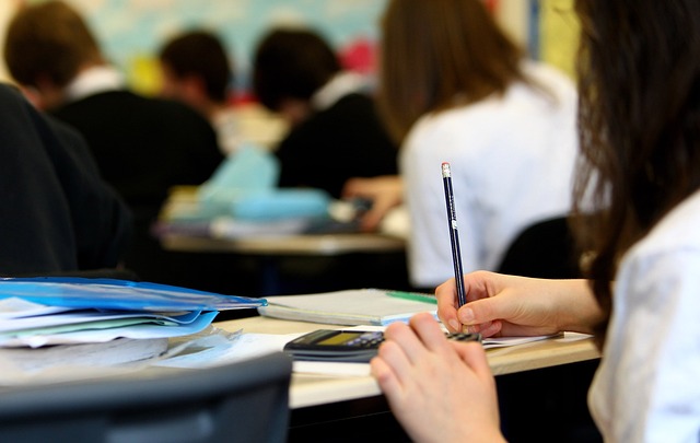 Curso 5S para Colegios: Organización y Eficiencia en la Gestión Educativa