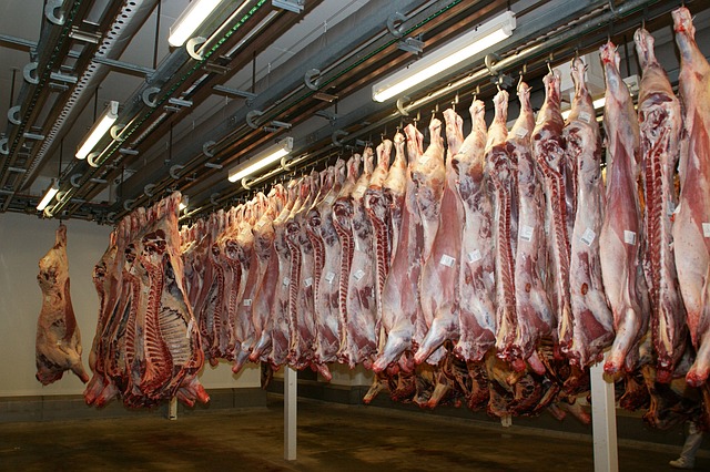 Curso 5S para el Sector Alimentario: Organización y Seguridad en la Producción de Alimentos